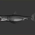 Realistic 3D Rendered Shark With Open Mouth And Sharp Teeth On Gray Background