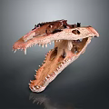 Detailed Dinosaur Skull Organ Anatomy With Sharp Teeth And Hair Traces