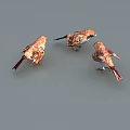 Modern sparrow 3d model