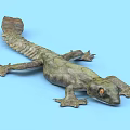 Realistic Reptile With Rough Skin Texture Orange Eyes And Blue Background