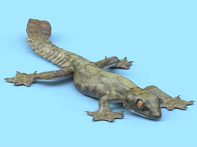 Realistic Reptile With Rough Skin Texture Orange Eyes And Blue Background 3d model