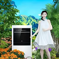 Elegant Modern Floral Decoration With Colorful Flowers And Green Plants Design