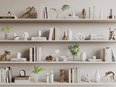 Modern Ornament Arrangement on Shelves With Books Vases Small Sculptures Plants and Candle Holders 3d model