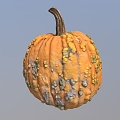 Pumpkin Old Pumpkin Vegetables 3d model