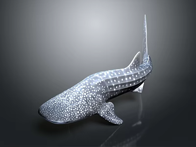 Graceful Giant Whale Shark With White Spots Swimming In Deep Ocean Water 3d model