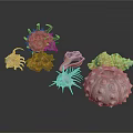 Natural Shell Decorative Ornament Set With Unique Shapes And Colorful Details