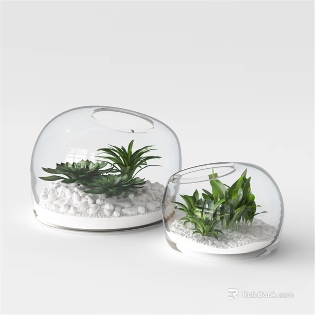 Modern Decorative Ornament Set with Transparent Glass Domes Green Plants and White Pebbles 3d model 