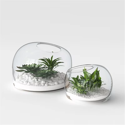 Modern Decorative Ornament Set with Transparent Glass Domes Green Plants and White Pebbles 3d model