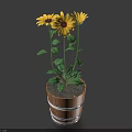 Potted Plant with Yellow Flowers and Green Leaves in Wooden Barrel Pot with White Stripes