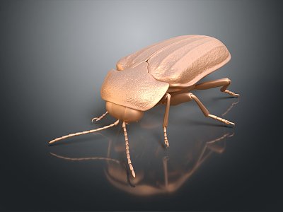 modern firefly insect japanese firefly animal game animal cartoon animal 3d model