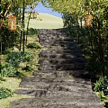 Scenic Park Landscape with Stone Steps Bamboo Trees Hanging Lanterns and Green Plants