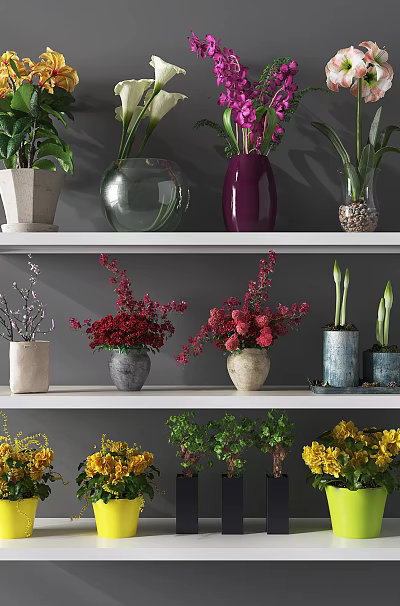Potted Plants With Colorful Flowers And Various Decorative Pots On White Shelves 3d model Potted Plants With Colorful Flowers And Various Decorative Pots On White Shelves 3d model