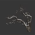 Leafless Winter Tree With Snow Covered Trunk On White Background 3d model