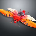 Vibrant Red Insect With Orange Wings And Black Spots On Dark Surface