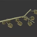 Detailed Natural Tree Branch With Multiple Brown Cones On Dark Background
