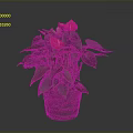 Indoor Anthurium Plant With Red Flowers Green Leaves In Brown Ceramic Pot