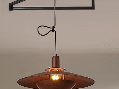 Modern Wooden Pendant Light With Metal Frame And Warm Glow For Interior Living Space 3d model