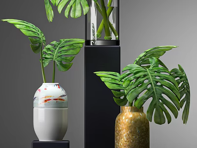 Potted Bonsai Plants With Monstera Leaves In Ceramic And Gold Vases On Black Stand 3d model