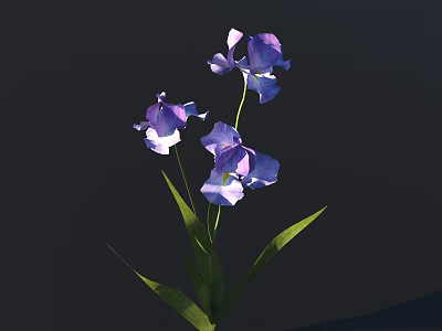 Vibrant Purple Iris Flowers With Fresh Green Leaves On Dark Backdrop 3d model