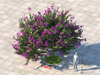 Tall Arbor With Purple Flowers On Circular Grass And Paved Ground With Human Scale 3d model