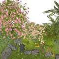 Vibrant Garden Plant Combination with Pink Flowers Ferns Greenery and Decorative Stones