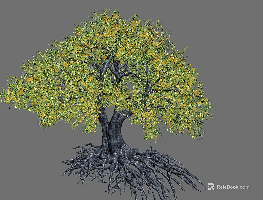 Lush Tree Featuring Green and Yellow Foliage Thick Trunk and Exposed Developed Roots 3d model 