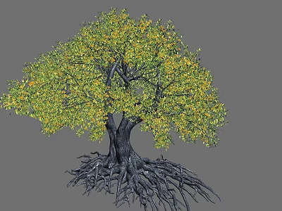 Lush Tree Featuring Green and Yellow Foliage Thick Trunk and Exposed Developed Roots 3d model