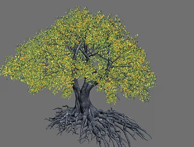 Lush Tree Featuring Green and Yellow Foliage Thick Trunk and Exposed Developed Roots 3d model