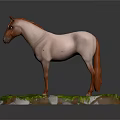 3D Model White And Brown Horse Standing on Base With Green Grass And White Rocks