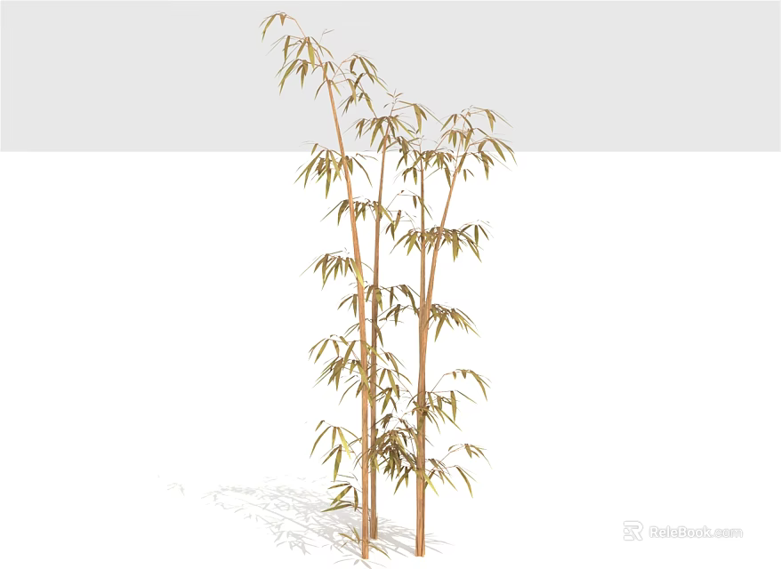 Tall Bamboo Stalks With Lush Green Leaves In Natural Growth Pattern 3d model 
