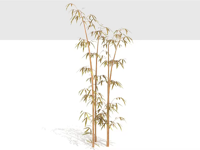Tall Bamboo Stalks With Lush Green Leaves In Natural Growth Pattern 3d model