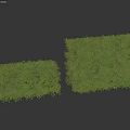 Two Green Rectangular Bushes With Lush Foliage On White Background