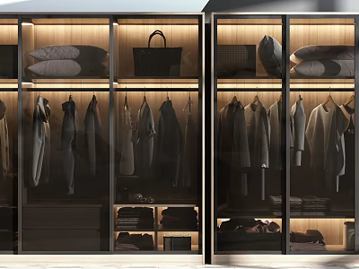 Modern Wardrobe Interior with Glass Doors Open Design Hanging Sections Drawers and Storage Lighting 3d model