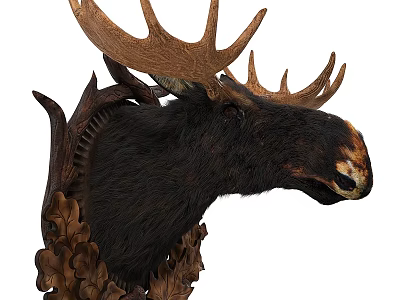 Realistic Moose Head Wall Decor With Ornate Antlers And Decorative Leaves 3d model