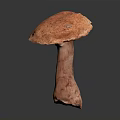 Fresh Orange Vegetable Mushroom with Smooth Cap and Firm Stem on Dark Background 3d model