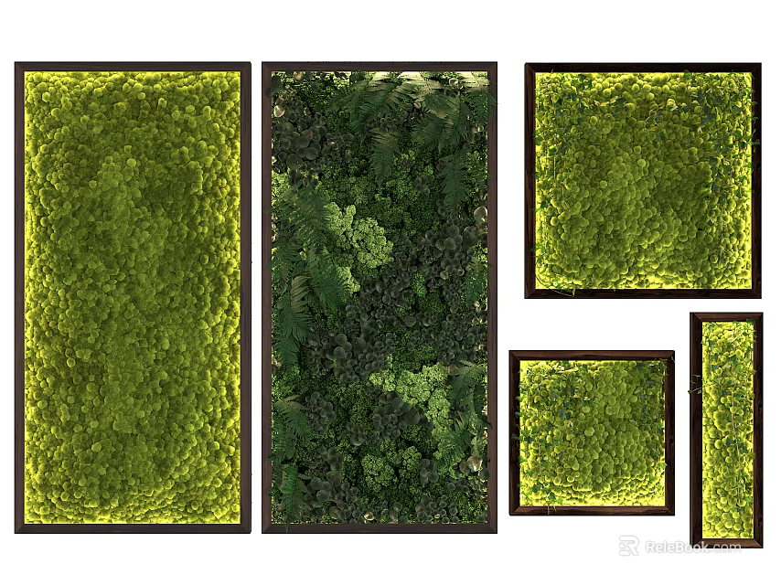 Decorative Living Plant Wall Designs With Various Framed Shapes And Green Foliage 3d model 