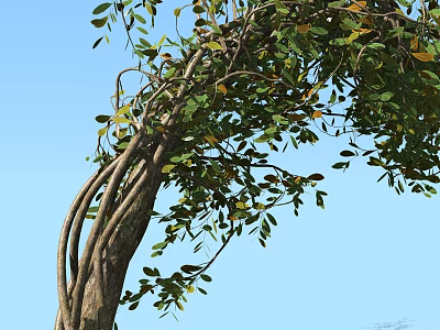 modern tree plant shrub modeling tree 3d model