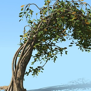 modern tree plant shrub modeling tree 3d model