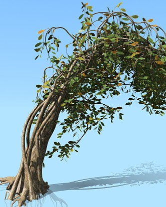 modern tree plant shrub modeling tree 3d model