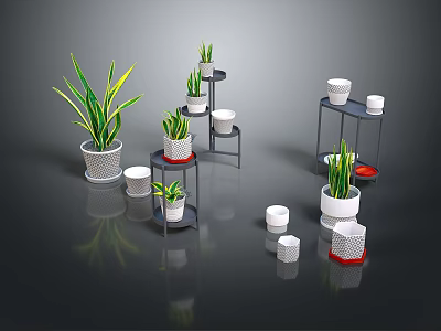 Indoor Potted Plants On Tiered Shelves With White Grid Planters And Black Stands 3d model