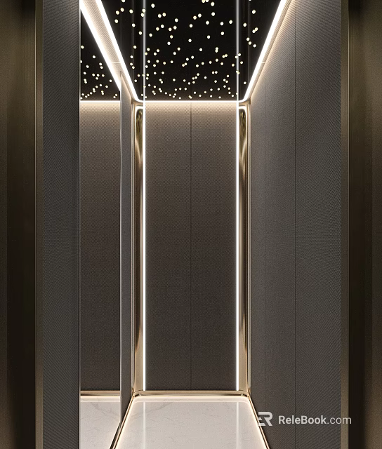 Modern Entrance Hall Interior Design With Dark Walls Vertical Metallic Strips And Ceiling Lights 3d model 