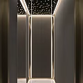 Modern Entrance Hall Interior Design With Dark Walls Vertical Metallic Strips And Ceiling Lights