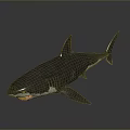 3D Shark Model Featuring Gray Body Open Mouth Sharp Teeth And Reflection On Dark Background 3d model