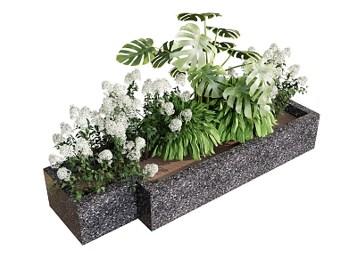 plant combination flower plant green plant model