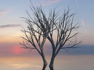Bare Tree With Twin Trunks Against Sunset Sky And Calm Water Surface 3d model