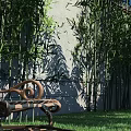 Garden Landscape With Bamboo Plants Light Colored Wall Decorative Bench Green Grass And Sunlight Shadows