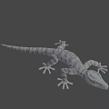 3D Gecko Game Movie Character With White Gray Pattern And Yellow Eyes