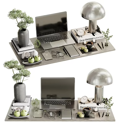Modern Work Desk Setup With Laptop Silver Mushroom Lamp Green Plants And Books 3d model
