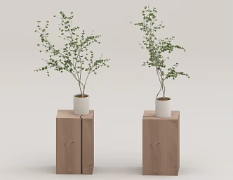 Side a few vase potted plant 3d model