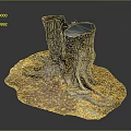 Natural Wooden Tree Stumps Decorative Piece With Roots Stones And Fallen Leaves